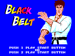 Black Belt (USA, Europe) Title Screen